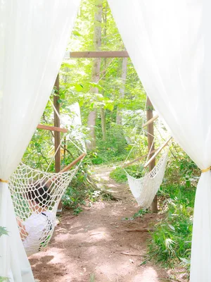 The Hammock, Sebastopol